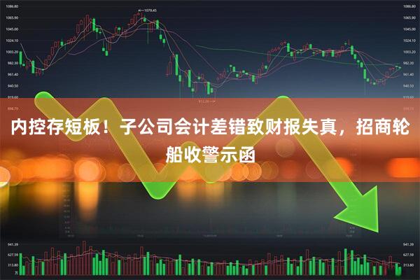 内控存短板！子公司会计差错致财报失真，招商轮船收警示函