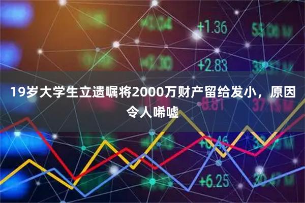 19岁大学生立遗嘱将2000万财产留给发小，原因令人唏嘘