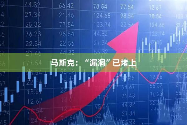 马斯克：“漏洞”已堵上